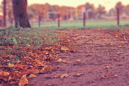 Build a REST API with Node.js and Express from Scratch: Complete Tutorial
